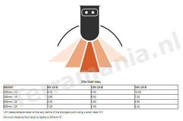 Arcadia 24W Pro T5 UVB Kit, 12% UV Lamp kopen | RARTP24XR | 844046000606