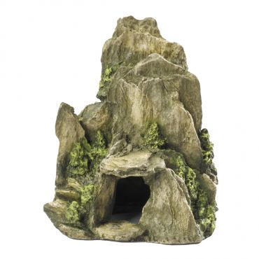 Rock With Moss, Medium